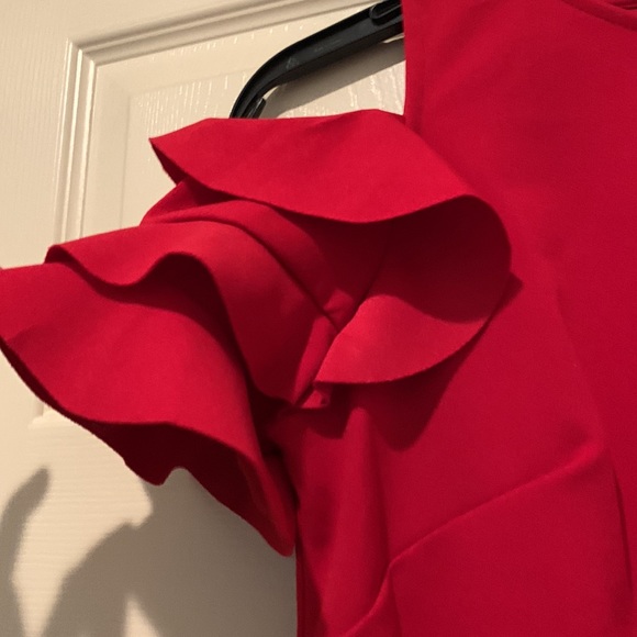 NWT RED DRESS London Collection Dress - Picture 5 of 6